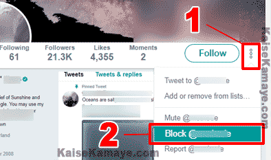 Twitter Me Kisi Ko Block Kaise Kare in Hindi, Twitter Par Kisi Bhi User Ko Kaise Block Kare , How To Block Someone on Twitter in Hindi