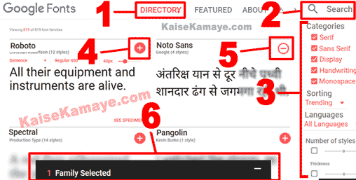 Computer Me Font Download Or Install Kaise Kare in Hindi